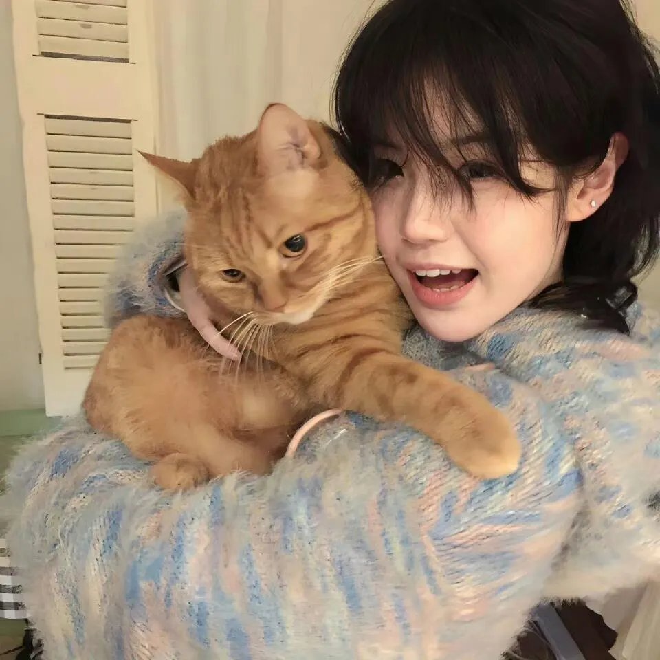 上海的女儿